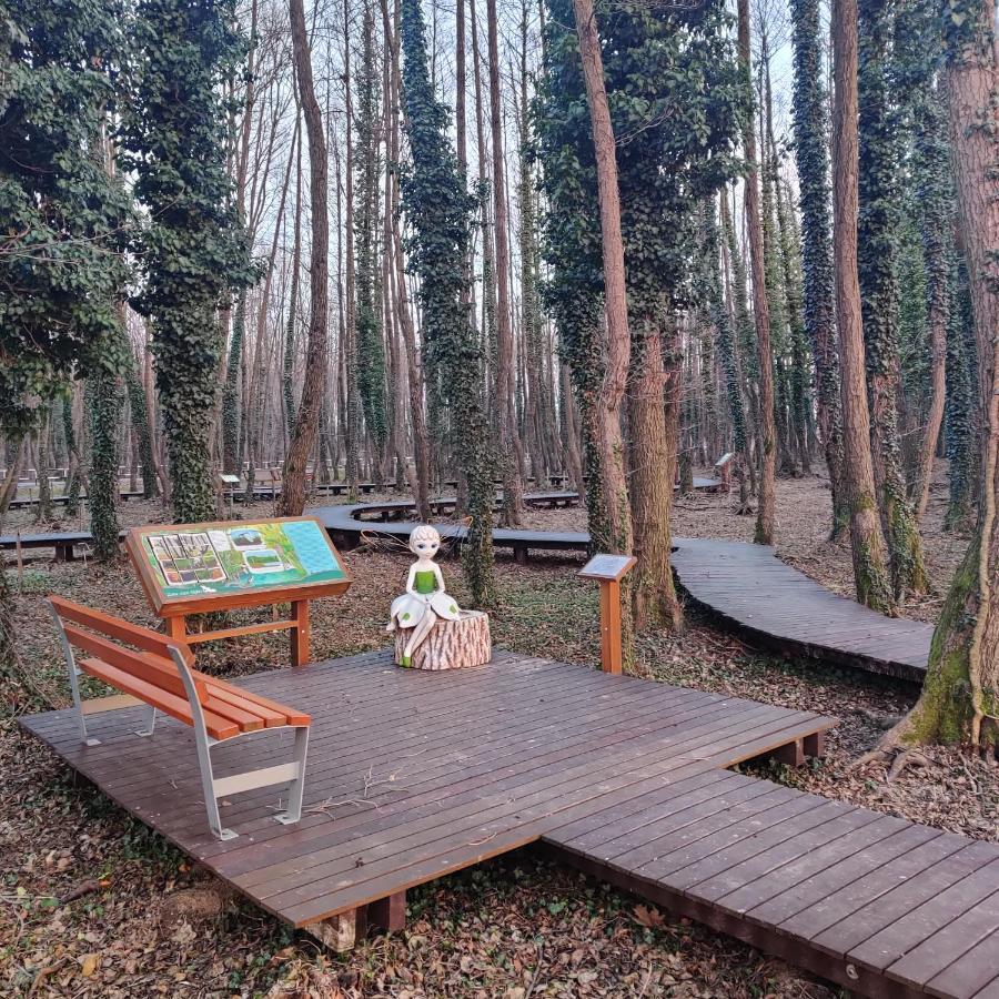 Orchidea Wellness Apartman Zalakaros Dış mekan fotoğraf